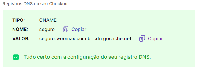 Como configurar o Checkout da Yampi em sua Loja Virtual Woocommerce - Tutorial Completo 2024 8 Registros de DNS